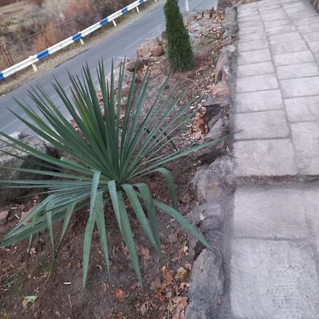 Green World Bjurakan Kültér fotó