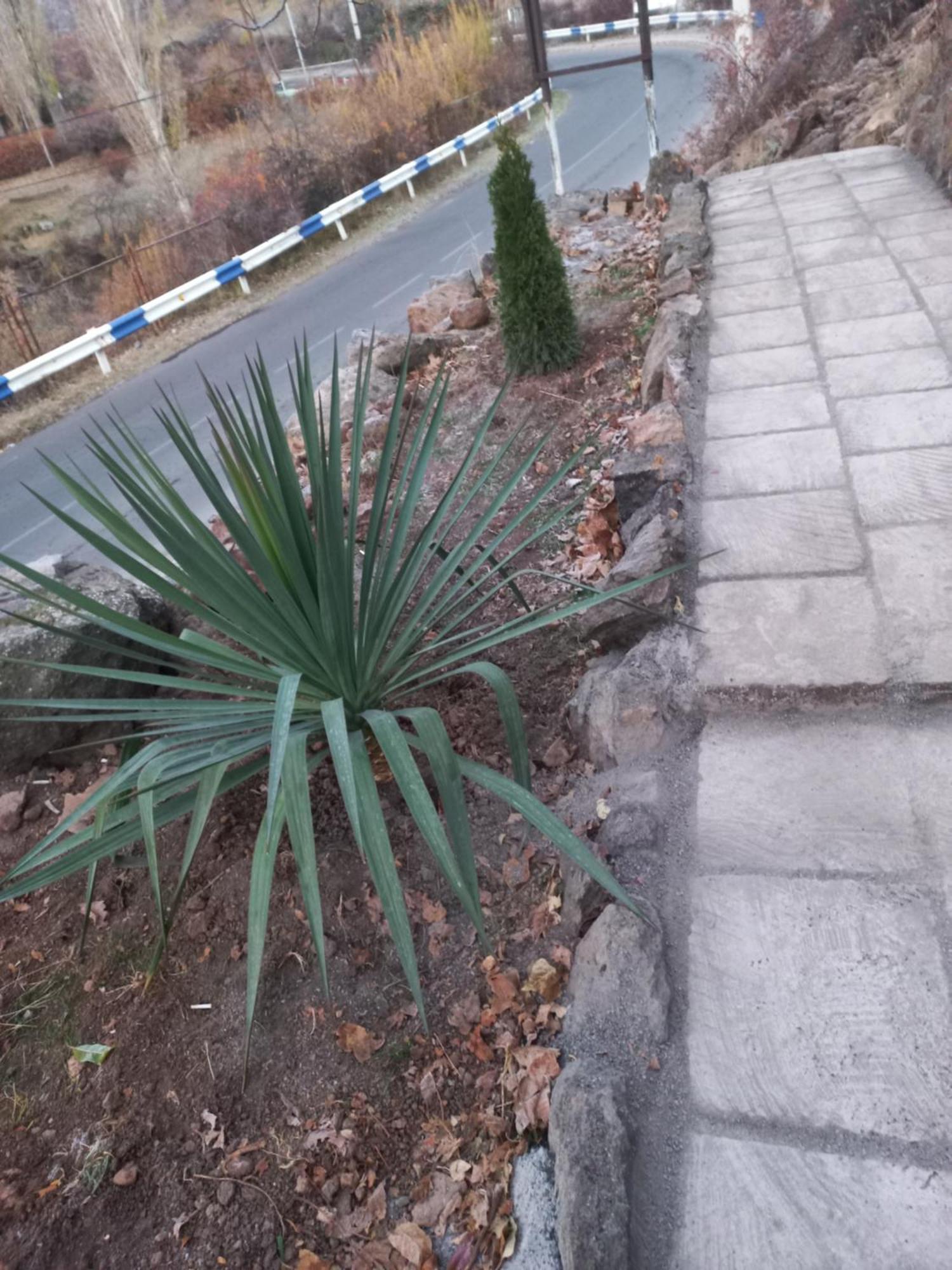 Green World Bjurakan Kültér fotó